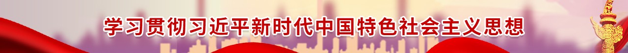 习近平新时代中国特色社会主义思想“大学习”