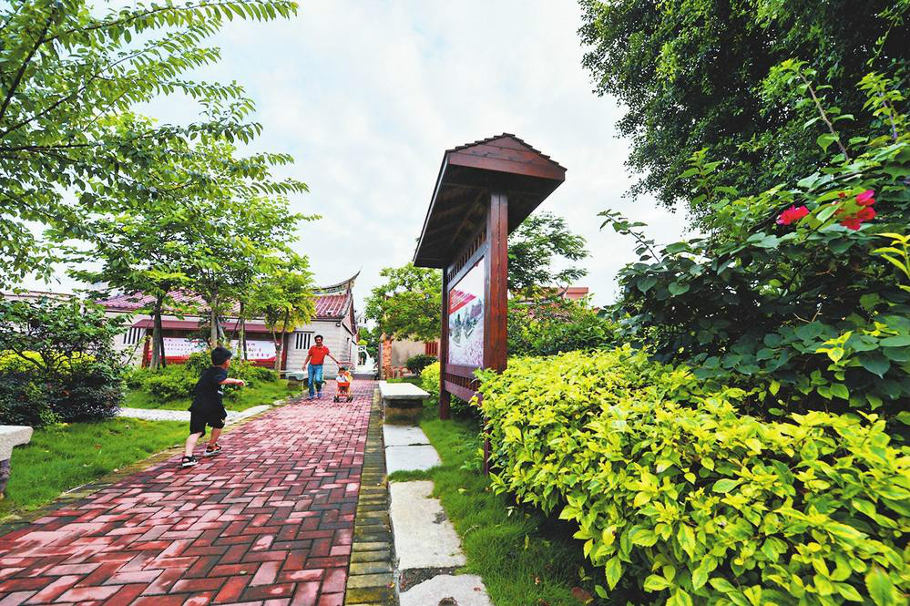 南安：发挥人大优势画出法治社会建设同心圆